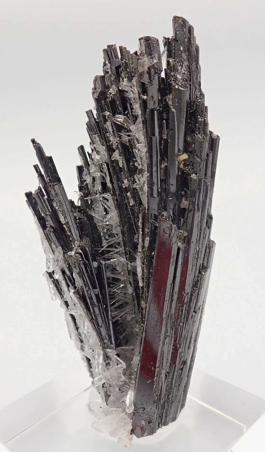 Hubnerite with Quartz - image 4