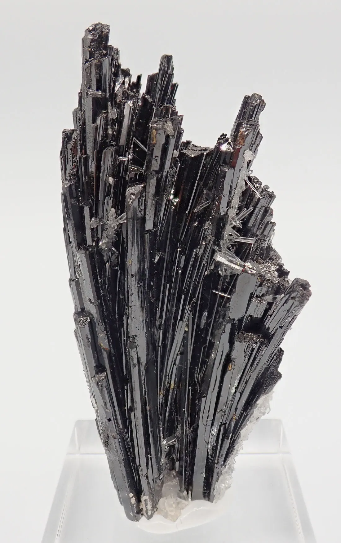 Hubnerite with Quartz - image 3