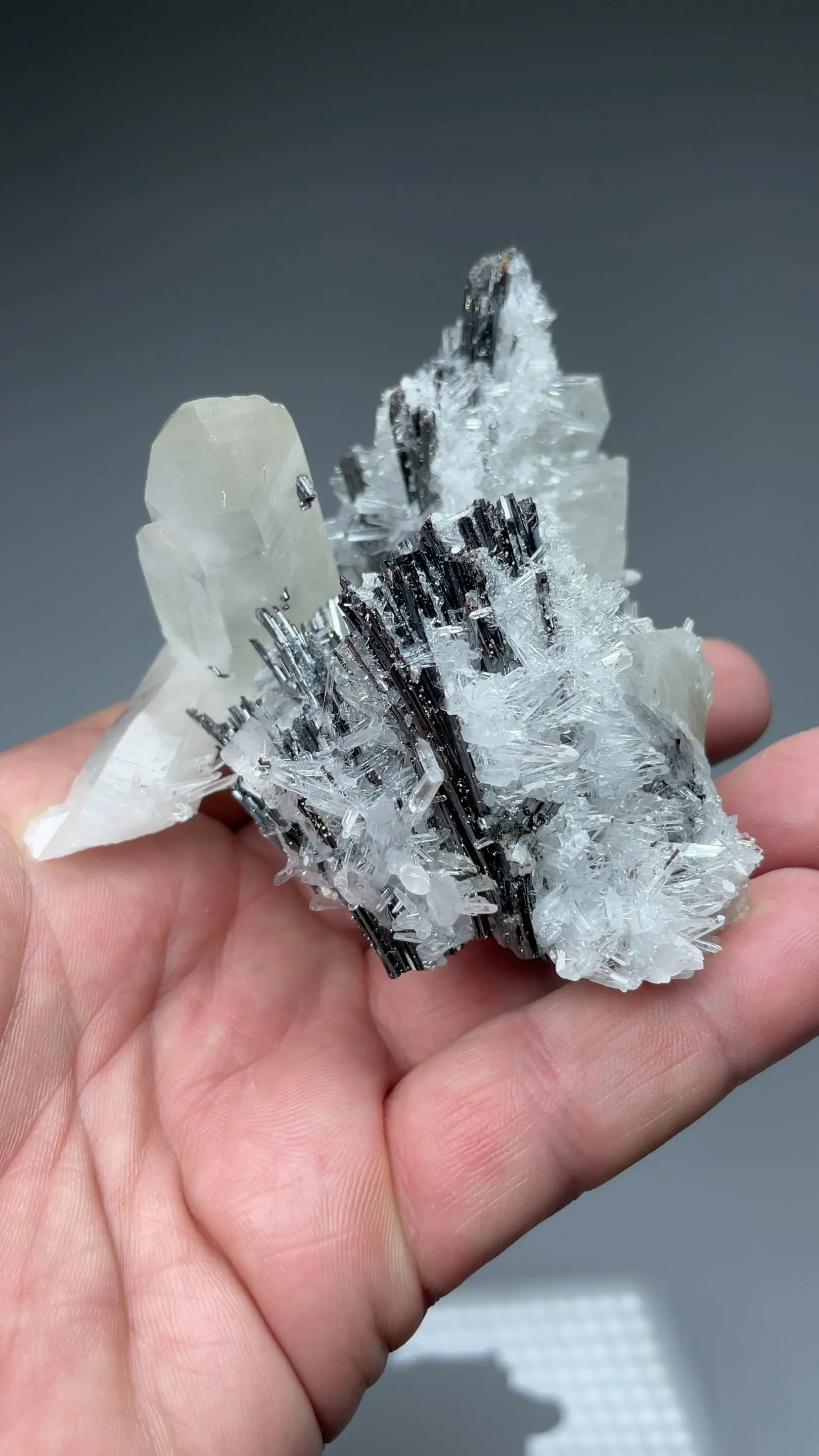 Hubnerite with Quartz - image 2