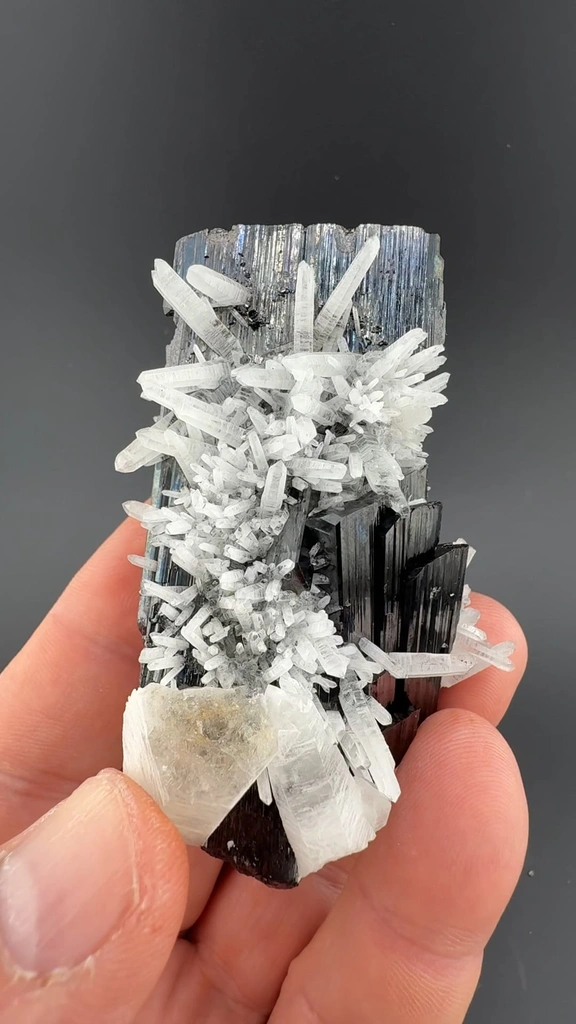 Hubnerite with Quartz - image 2
