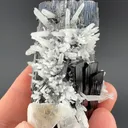 Hubnerite with Quartz - image 2