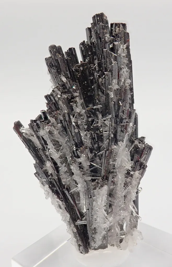 Hubnerite with Quartz image