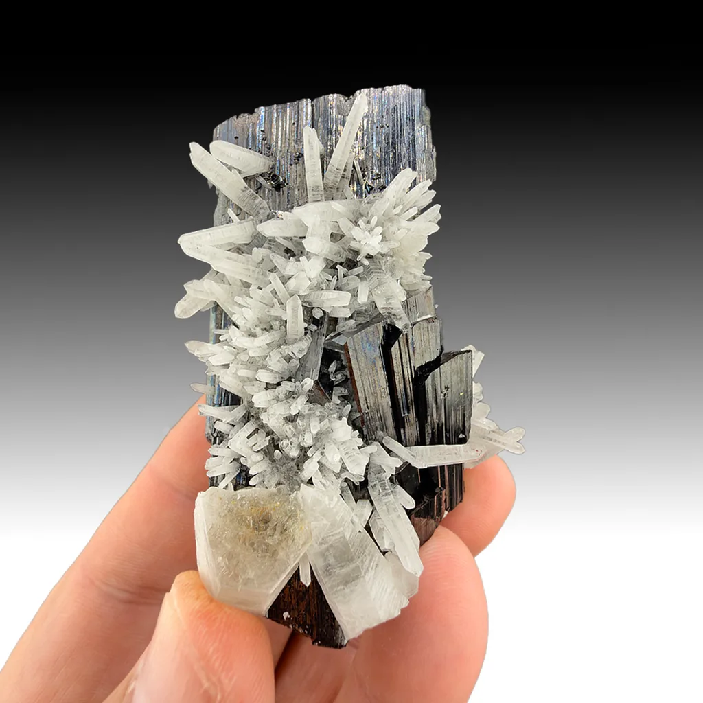 Hubnerite with Quartz - image 1
