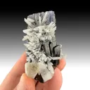 Hubnerite with Quartz - image 1