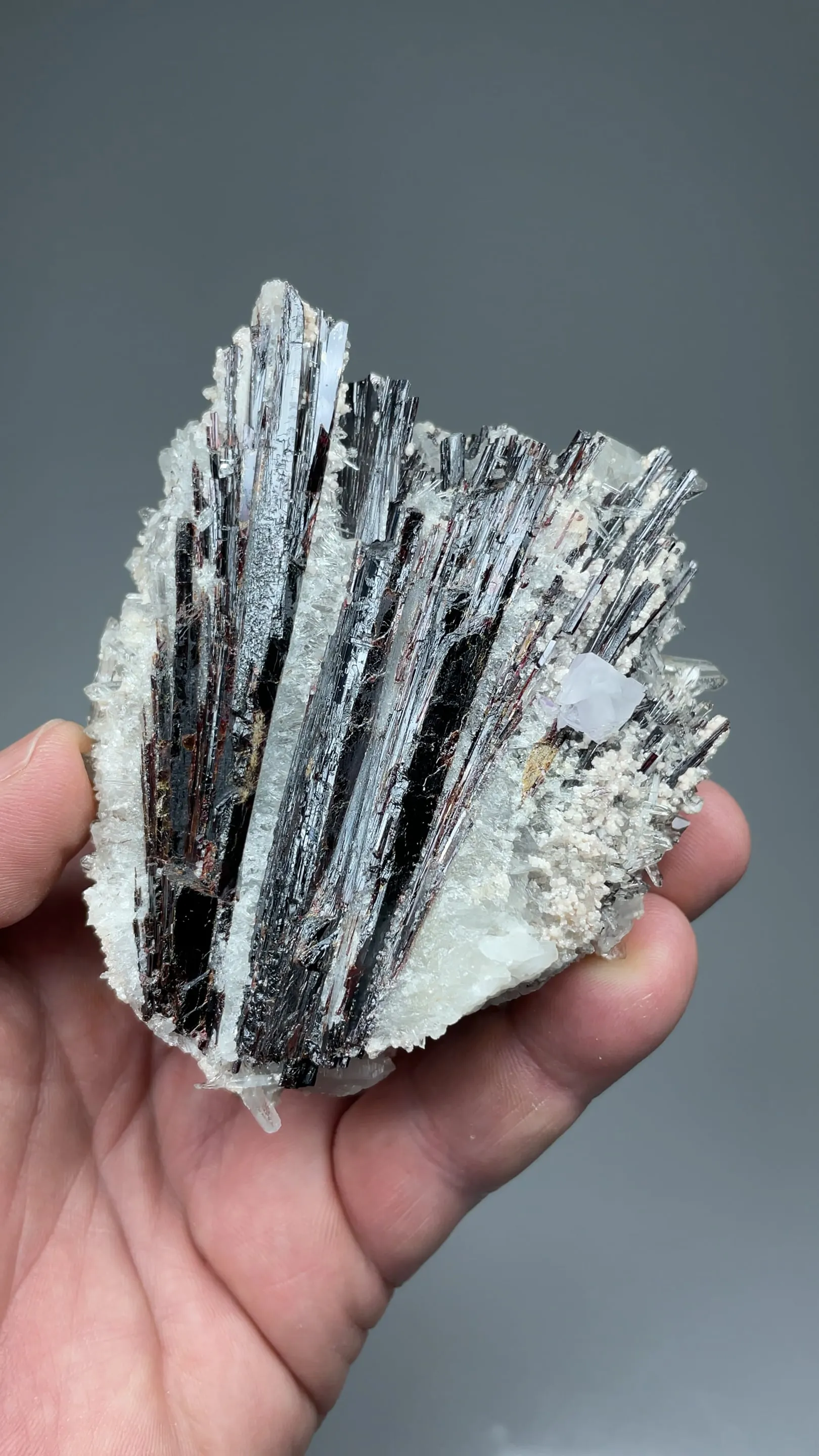 Hubnerite with Quartz, Fluorite - image 2