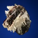 Hübnerite with Stolzite, Quartz and Tetrahedrite - image 5