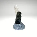 Huebnerite from Peru, Ancash, Pasto Bueno - image 2