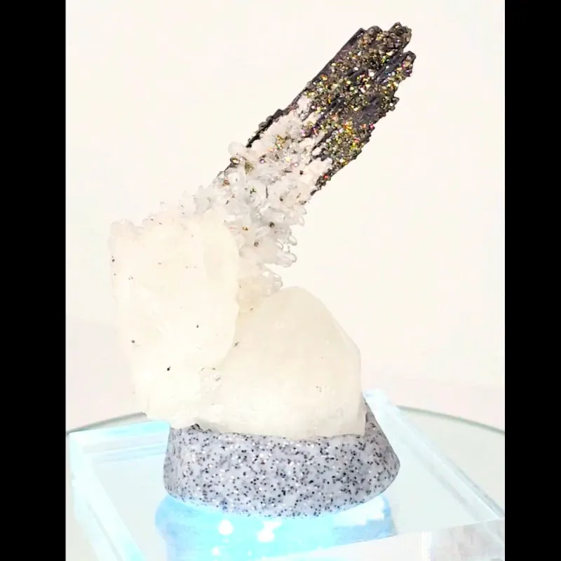 specimen video