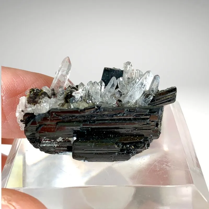 Huebnerite from Peru, Ancash, Pasto Bueno - image 2