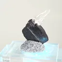 specimen video