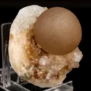 Huge Botryoidal Fluorite on MM Quartz Very Rare Natural Mineral Specimen - image 3