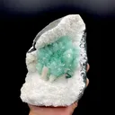 Huge Deep Green Apophyllite Flower on Snow-White Mordenite Matrix | Rare Indian Mineral Specimen DK145. - image 2