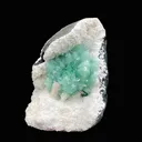 Huge Deep Green Apophyllite Flower on Snow-White Mordenite Matrix | Rare Indian Mineral Specimen DK145. - image 2