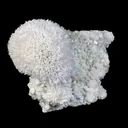 Huge Mordenite Flower with Apophyllite – Freestanding Natural Mineral Specimen - image 2