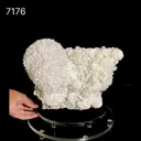 Huge Mordenite Flower with Apophyllite – Freestanding Natural Mineral Specimen - image 7