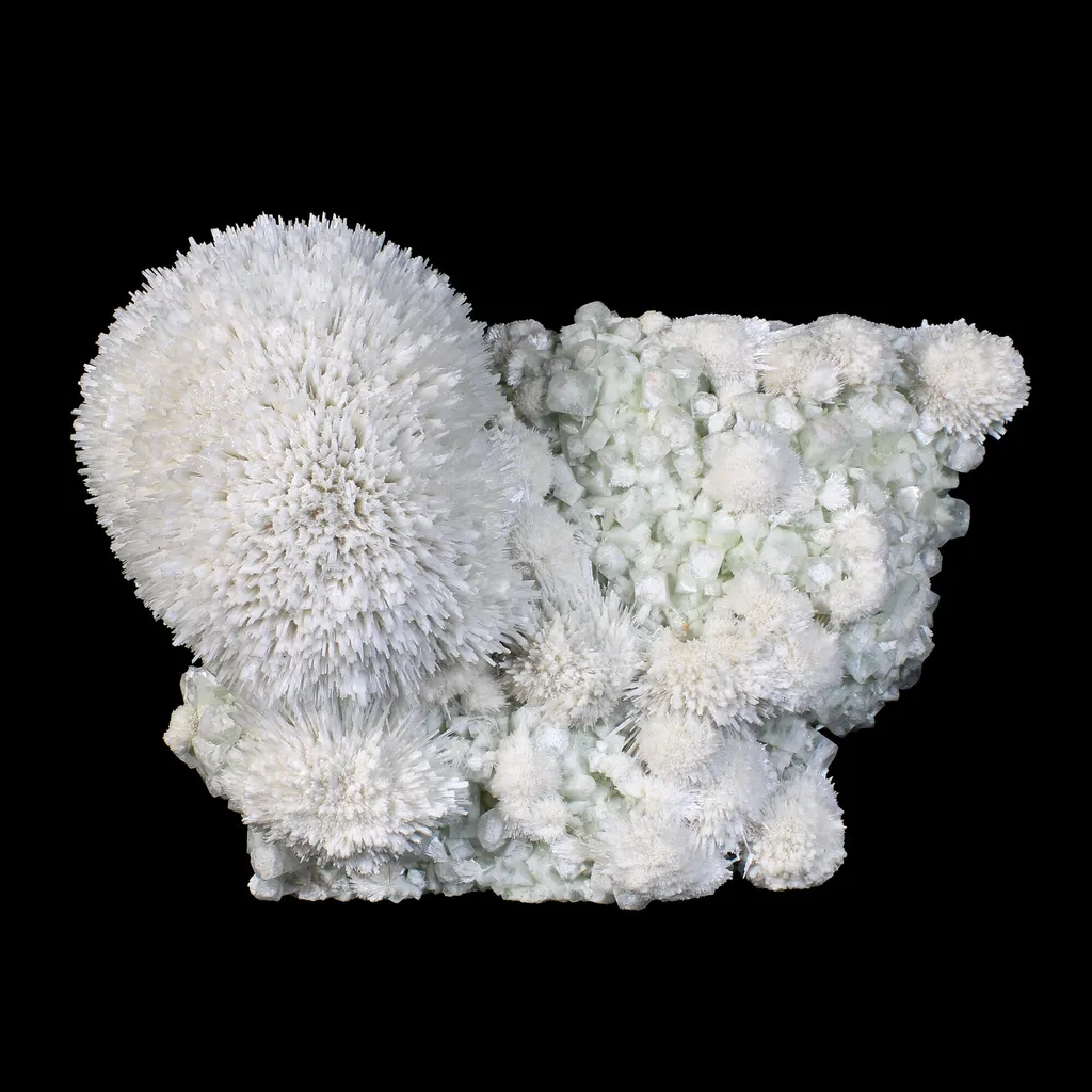 Huge Mordenite Flower with Apophyllite – Freestanding Natural Mineral Specimen image