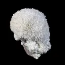 Huge Mordenite Flower with Apophyllite – Freestanding Natural Mineral Specimen - image 3