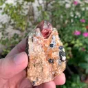 specimen video