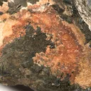 Hureaulite In Phosphate Nodule (Palaite) - image 3