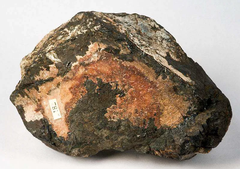 Hureaulite In Phosphate Nodule (Palaite) - image 2