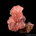 Hureaulite on Correianevesite - image 1