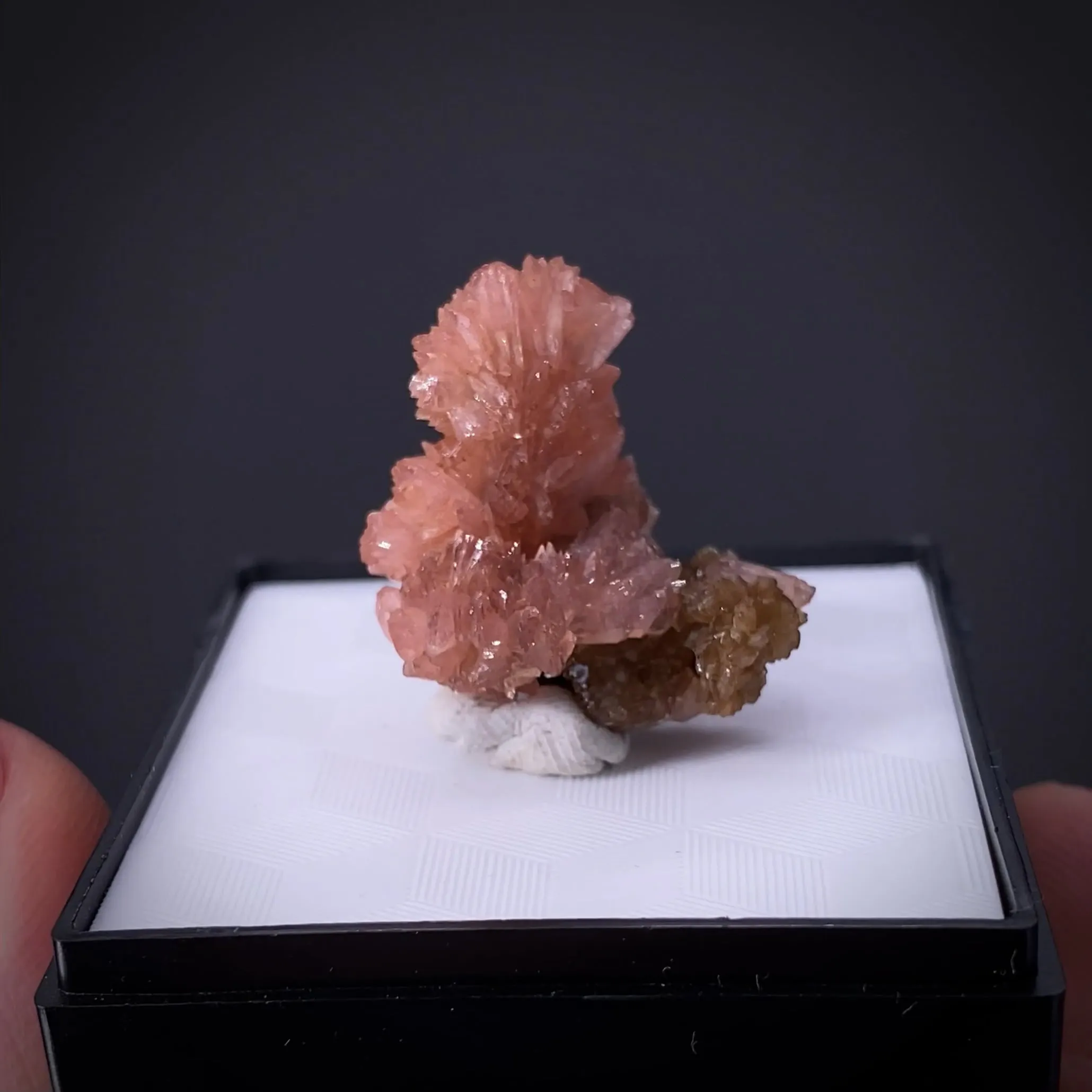 Hureaulite on Correianevesite - image 2