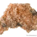 Hureaulite with Rockbridgeite - image 5