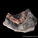 Hureaulite with Rockbridgeite and Jahnsite in Triphylite and Quartz - image 6