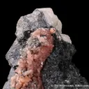 Hureaulite with Rockbridgeite and Jahnsite in Triphylite and Quartz - image 5