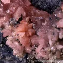 Hureaulite with Rockbridgeite and Jahnsite in Triphylite and Quartz - image 4