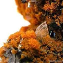 Hutchinsonite and Orpiment - image 2