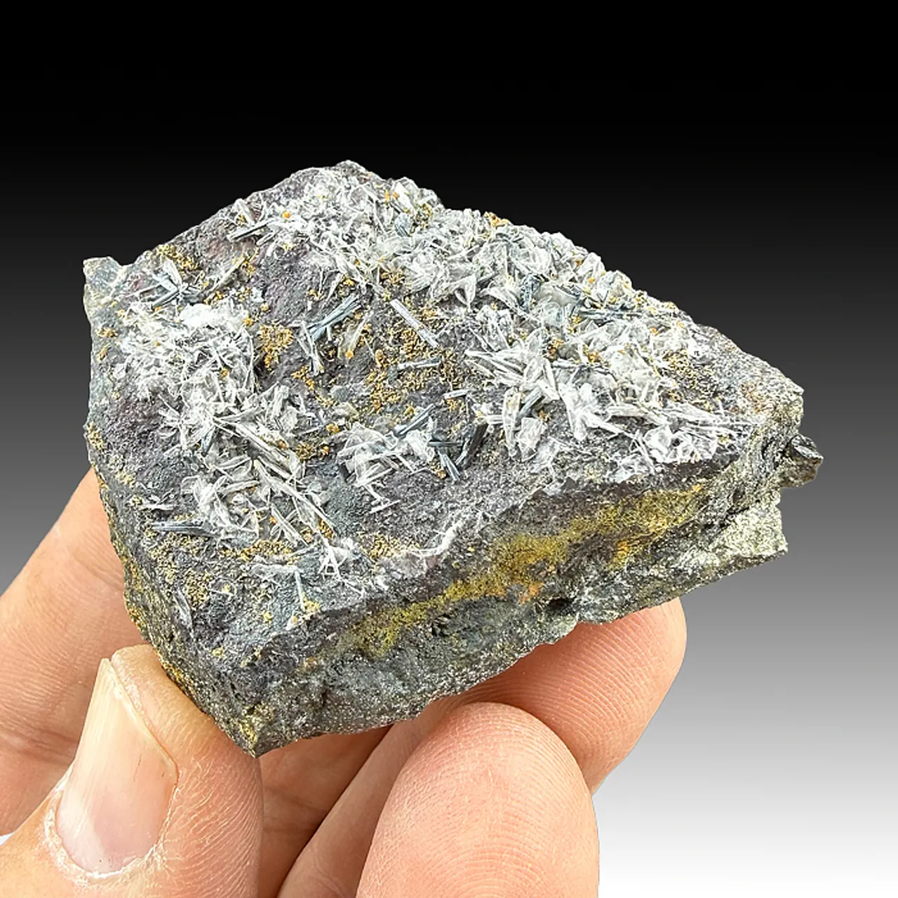 Hutchinsonite with Barite - image 1