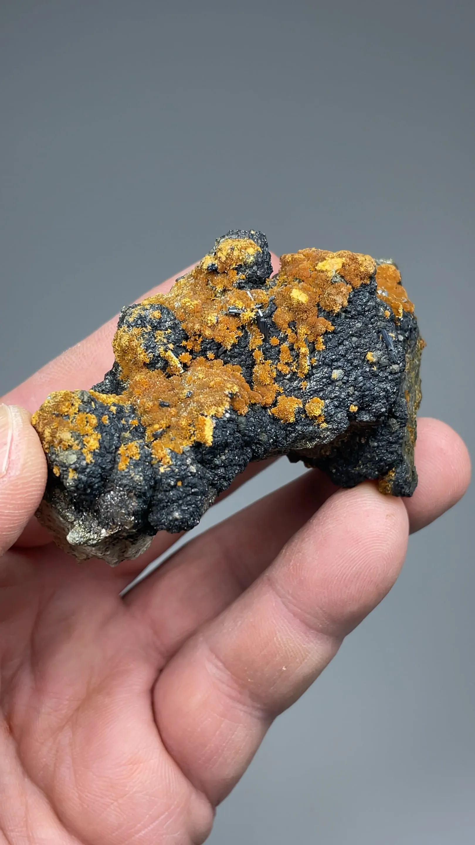 Hutchinsonite with Orpiment, Pyrite, Sphalerite - image 3