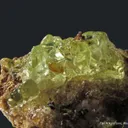 Hyalite Opal - image 1
