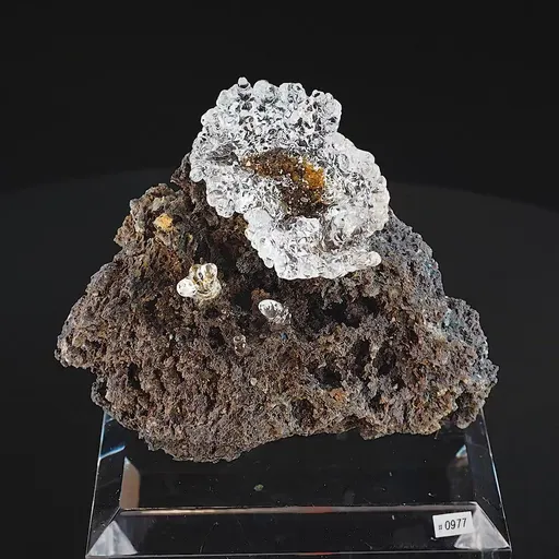 specimen video