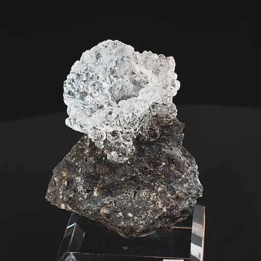 specimen video