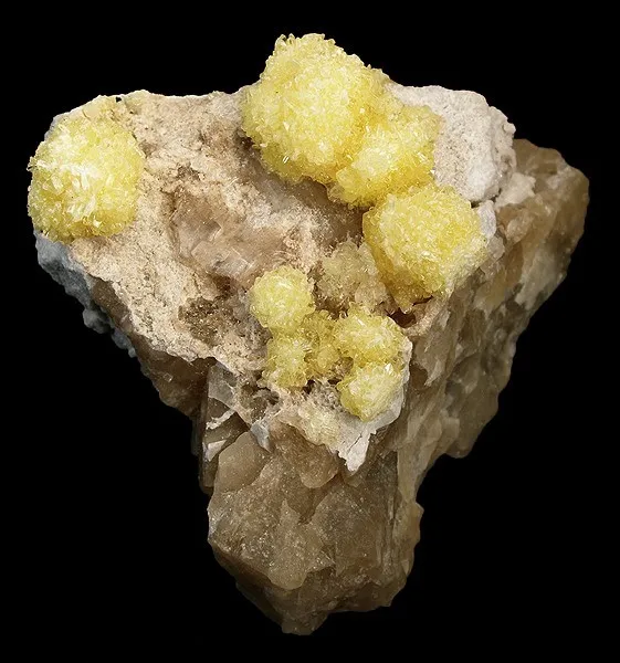 Hydroboracite image