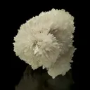 Hydroboracite - image 1