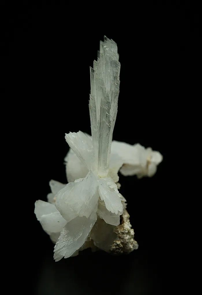 Hydroboracite (repaired) - image 3