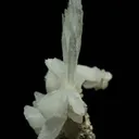 Hydroboracite (repaired) - image 3