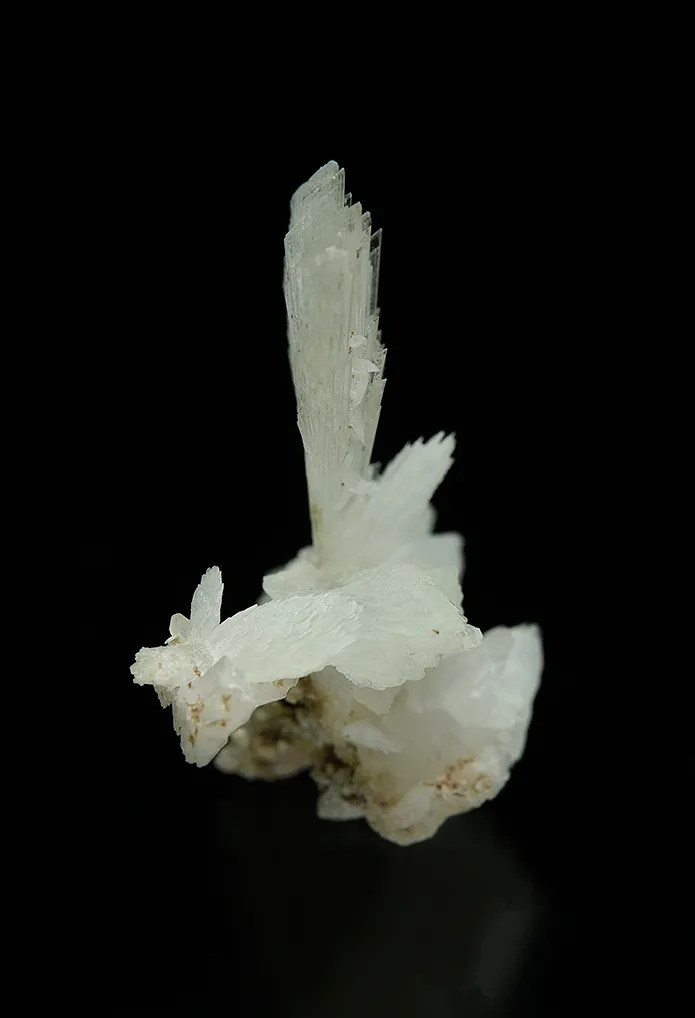 Hydroboracite (repaired) - image 5