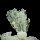 Hydroboracite (repaired) - image 2