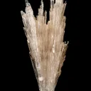 Hydroboracite (repaired) - image 2