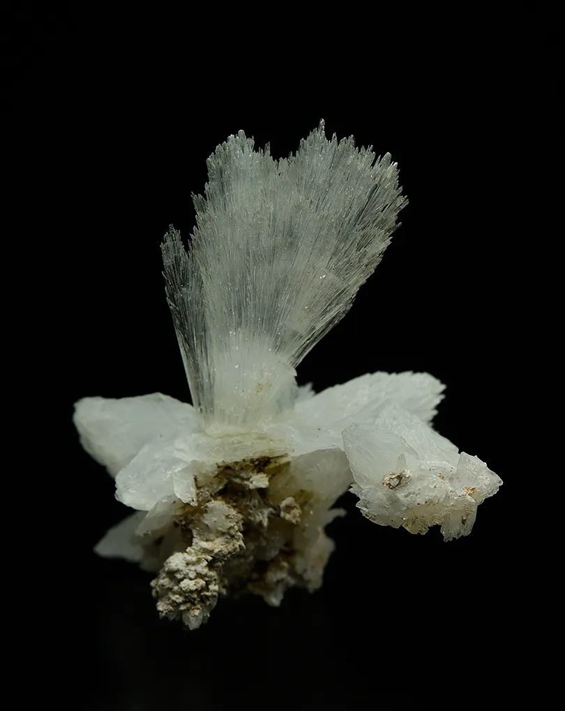 Hydroboracite (repaired) - image 4