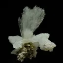 Hydroboracite (repaired) - image 4