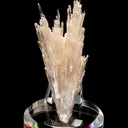 Hydroboracite (repaired) - image 1