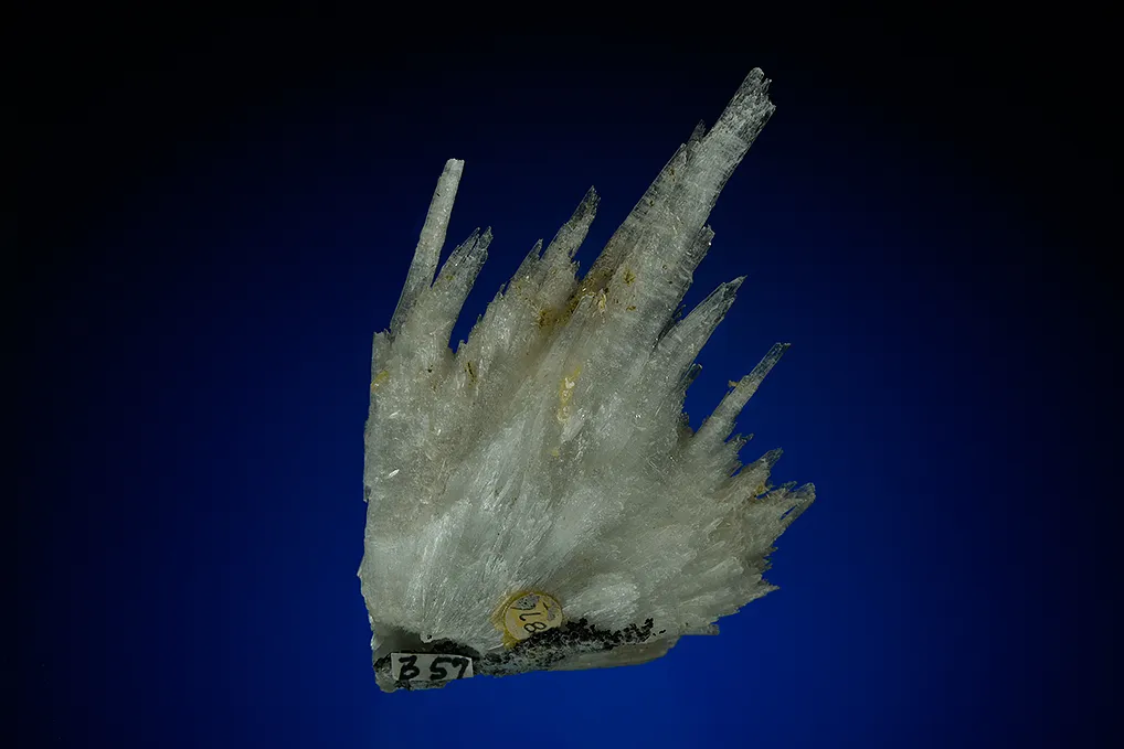 Hydroboracite with Calcite - image 4