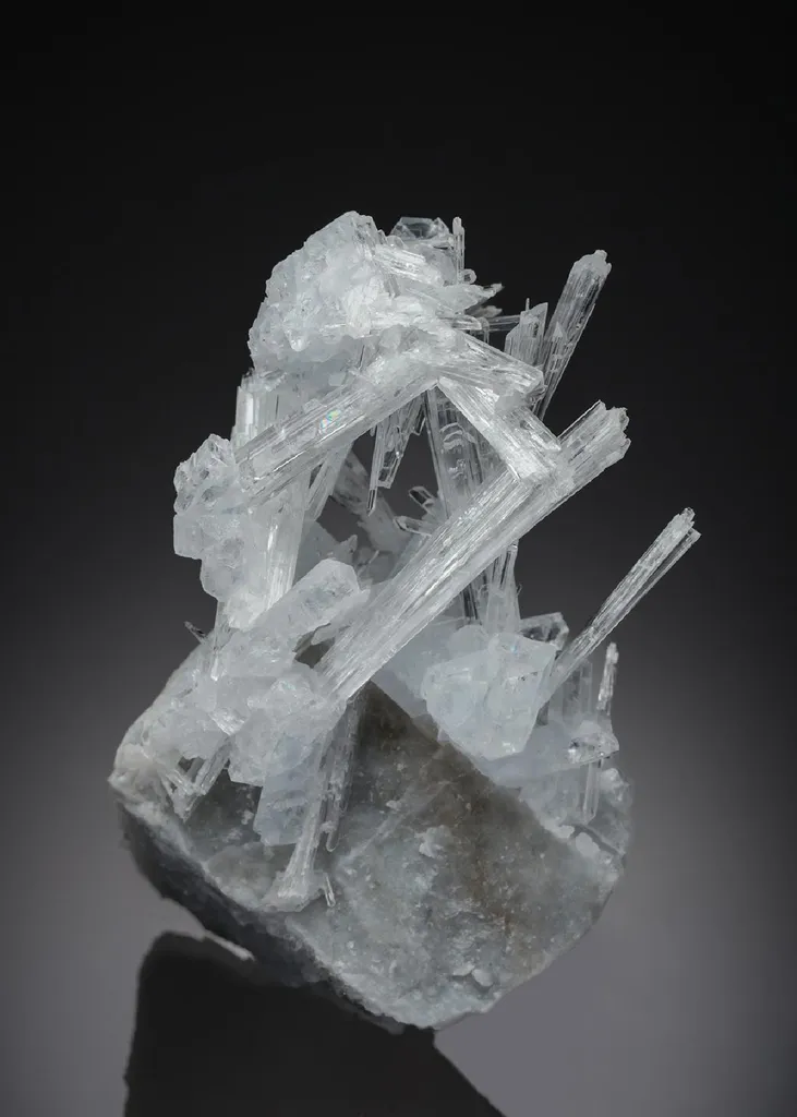 Hydroboracite with Gypsum var. Selenite image