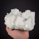 Hydroxyapophyllite-(K) on Prehnite - image 1