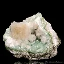 Hydroxyapophyllite-(K) on Prehnite - image 4